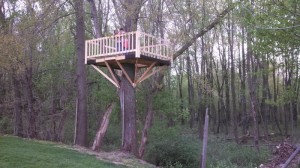 the tree house building project is finished.