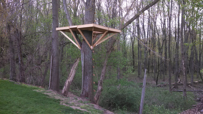 Tree House Building - Floor base with corner support braces