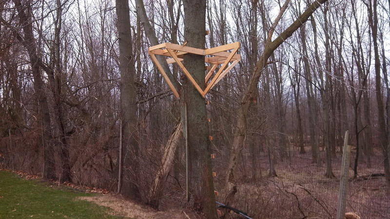 Tree House Building Base framing with support braces