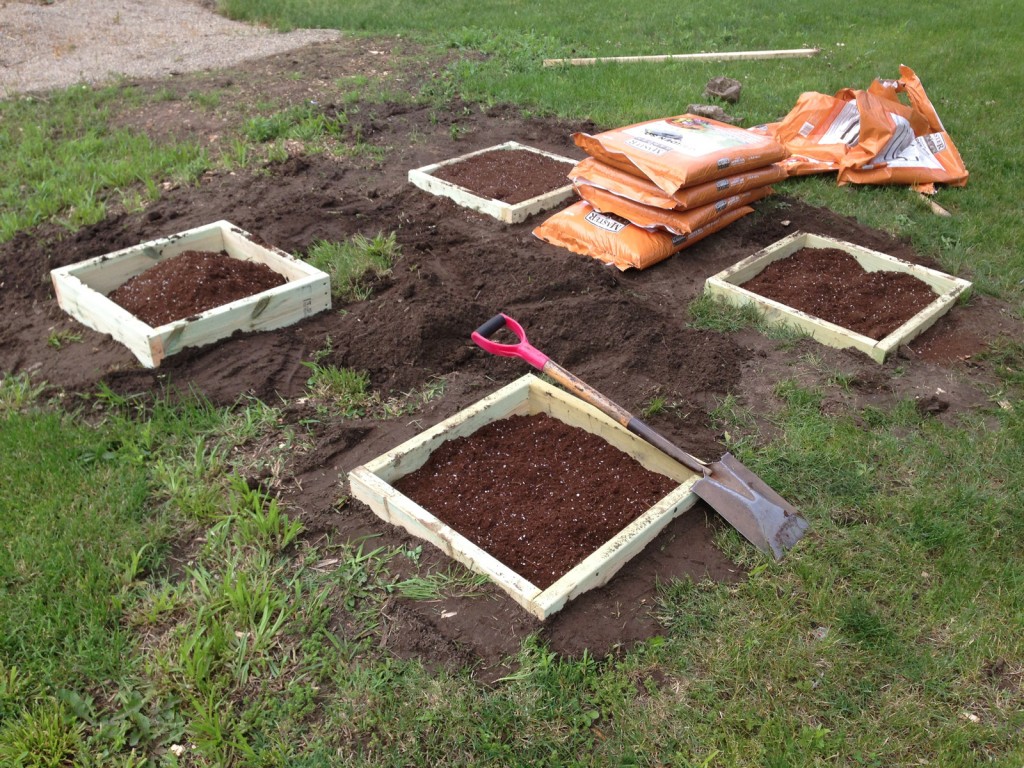 DIY Garden Boxes - Filling the garden boxes with good soil increases garden's chances